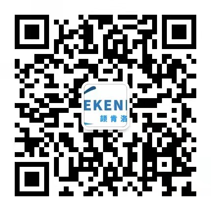 the qr code